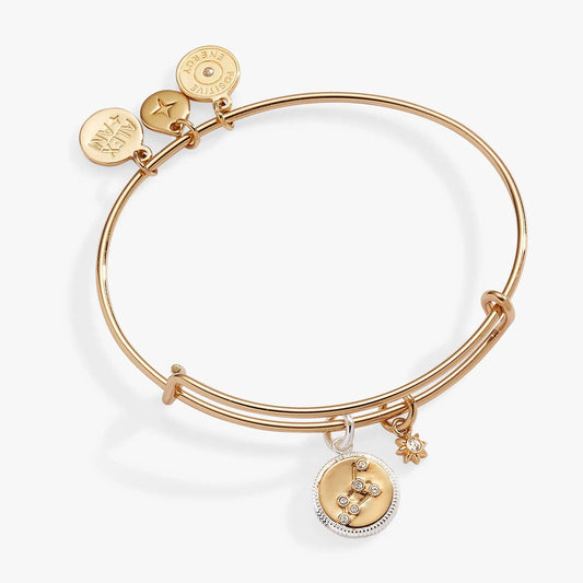 Leo Zodiac Charm Bangle by ALEX AND ANI rose gold with 3 charms Leo Disk star charm logo disc on Tampa Home & Garden Store