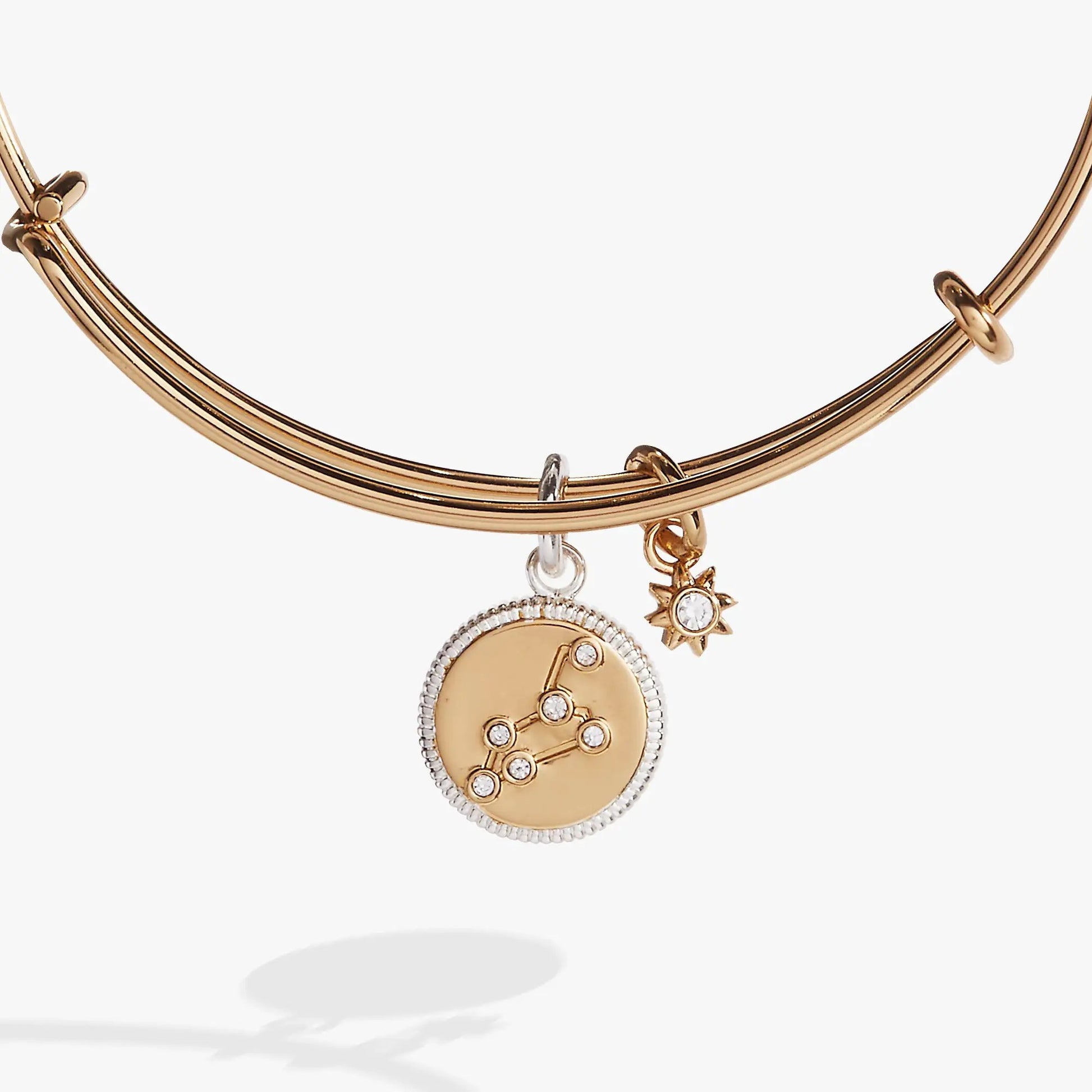 Leo Zodiac Charm Bangle by Alex and Ani, rose-gold tone bracelet with crystal-embellished charm on Tampa Home & Garden Store