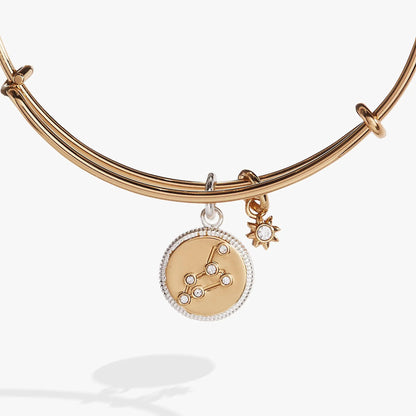 Leo Zodiac Charm Bangle by Alex and Ani, rose-gold tone bracelet with crystal-embellished charm on Tampa Home & Garden Store