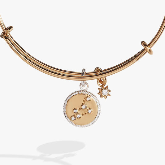 Leo Zodiac Charm Bangle by Alex and Ani, rose-gold tone bracelet with crystal-embellished charm on Tampa Home & Garden Store