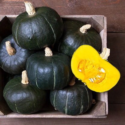 Burgess Buttercup Squash; a few dark green squash with orange flesh in crate Seedtime Store on Tampa Home & Garden Store