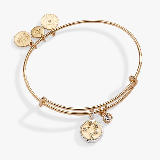 Libra Zodiac Charm Bangle by Alex and Ani, rose-gold tone bracelet with coin charms and crystal pendant on Tampa Home & Garden Store
