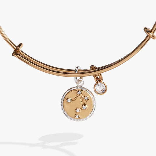 Libra Zodiac Charm Bangle by ALEX AND ANI rose gold-tone with crystal charms on Tampa Home & Garden Store