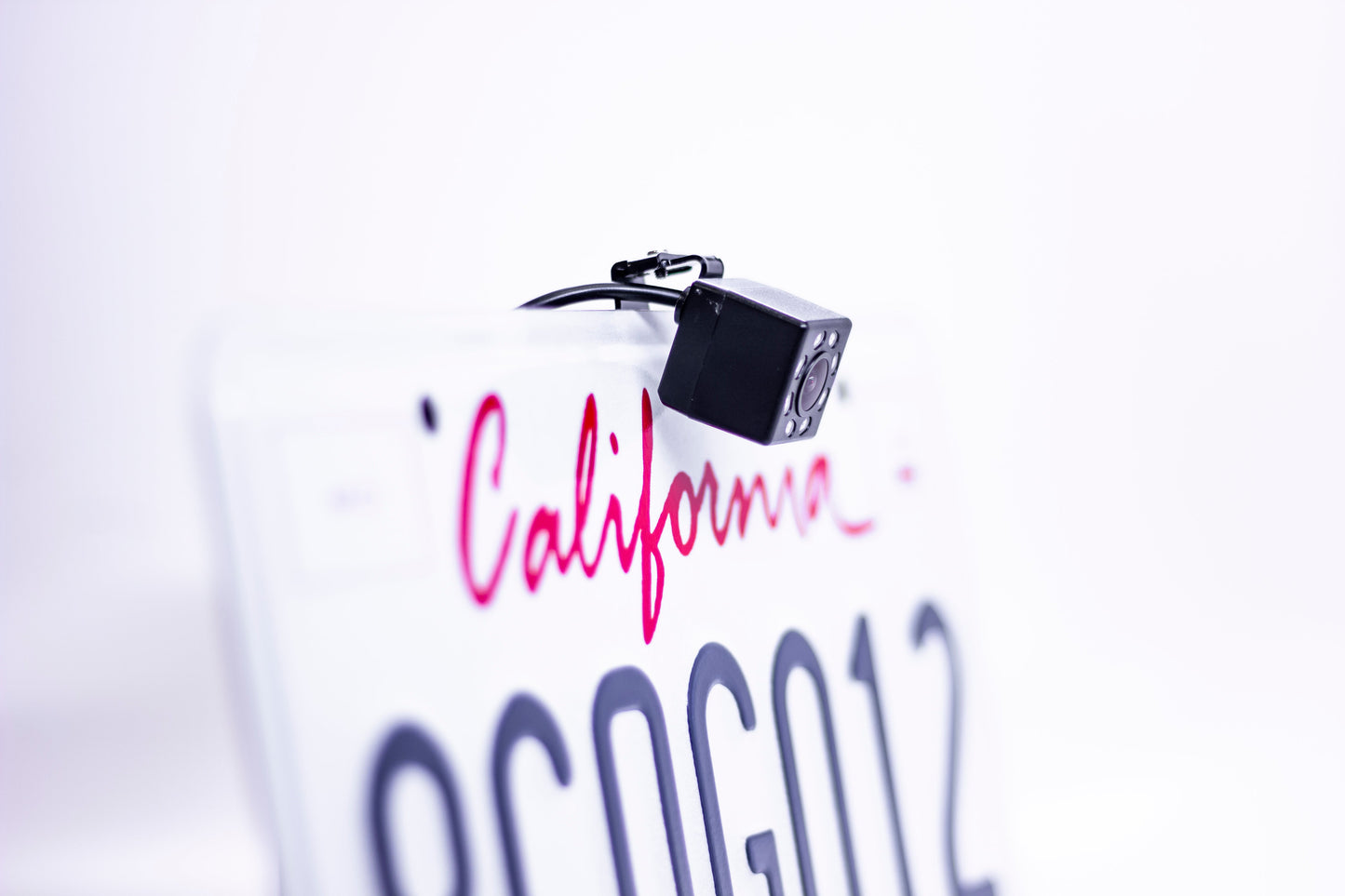 Master Tailgaters license plate camera with 8 IR LEDs in black housing on a California plate on Tampa Home & Garden Store