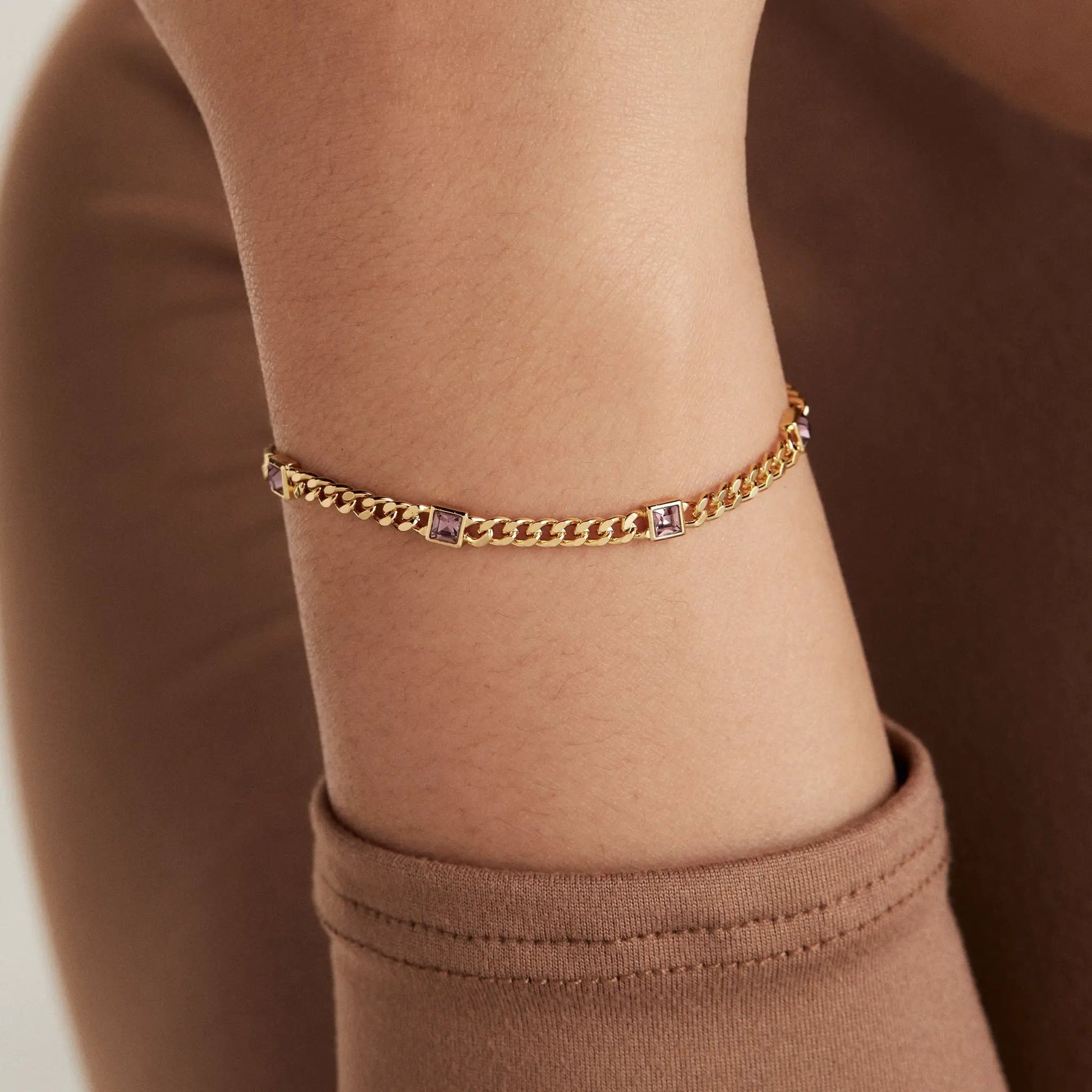 Bracelet June birthstone amethyst curb chain gold-tone by ALEX AND ANI on Tampa Home & Garden Store