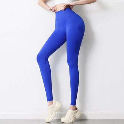 Lightweight blue high-waist gym leggings Stevvex seamless stretchy for yoga workouts on Tampa Home & Garden Store