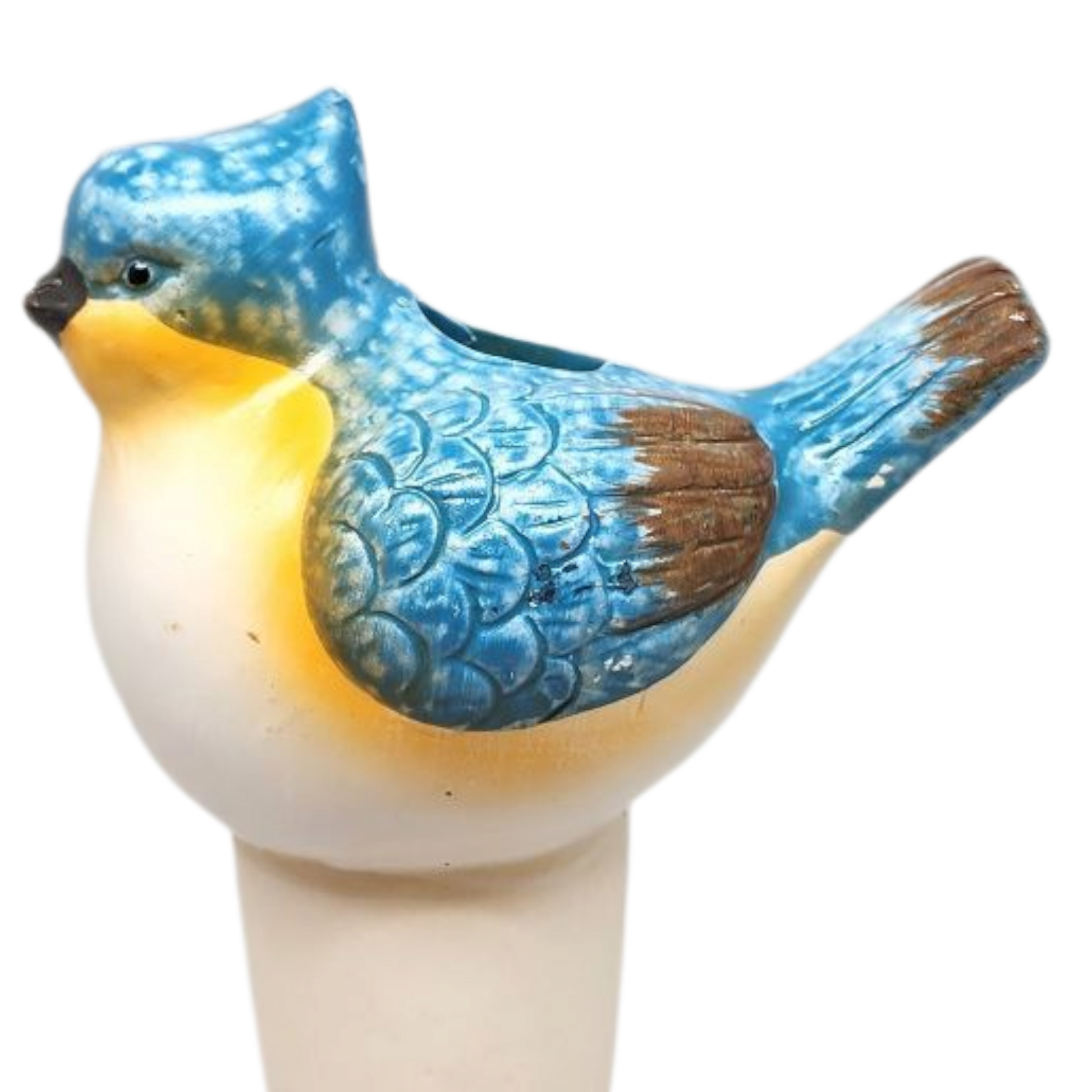 - image on Tampa Home & Garden Store