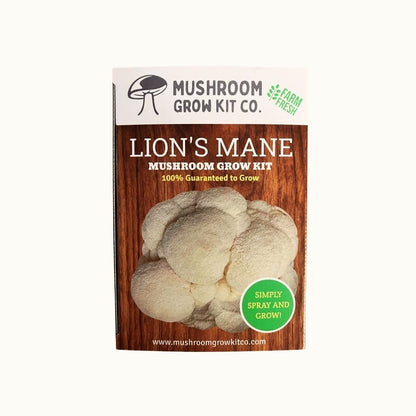 Premium Lion's Mane Mushroom Growing Kit - 5 LBS
