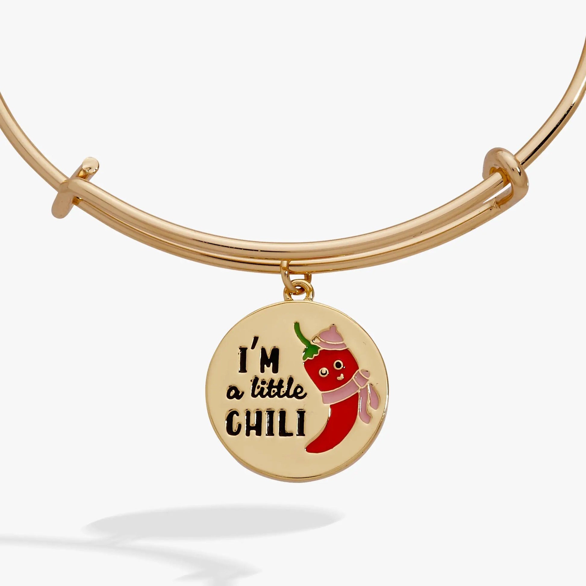 I'm a Little Chili charm bracelet by ALEX AND ANI with enamel disc on Tampa Home & Garden Store