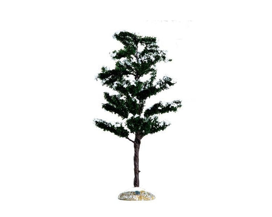 Conifer Tree, Medium - Tampa Home & Garden Store