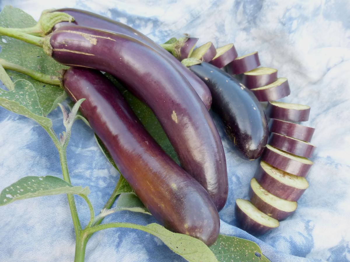 Long purple eggplants with green stems on blue fabric, shown with sliced rounds on Tampa Home & Garden Store