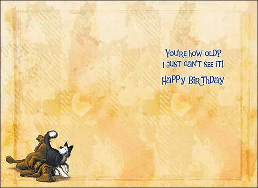 Birthday card by The Country Christmas Loft: cat & dog on yellow background on Tampa Home & Garden Store