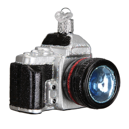 Camera  Glass Ornament - Tampa Home & Garden Store