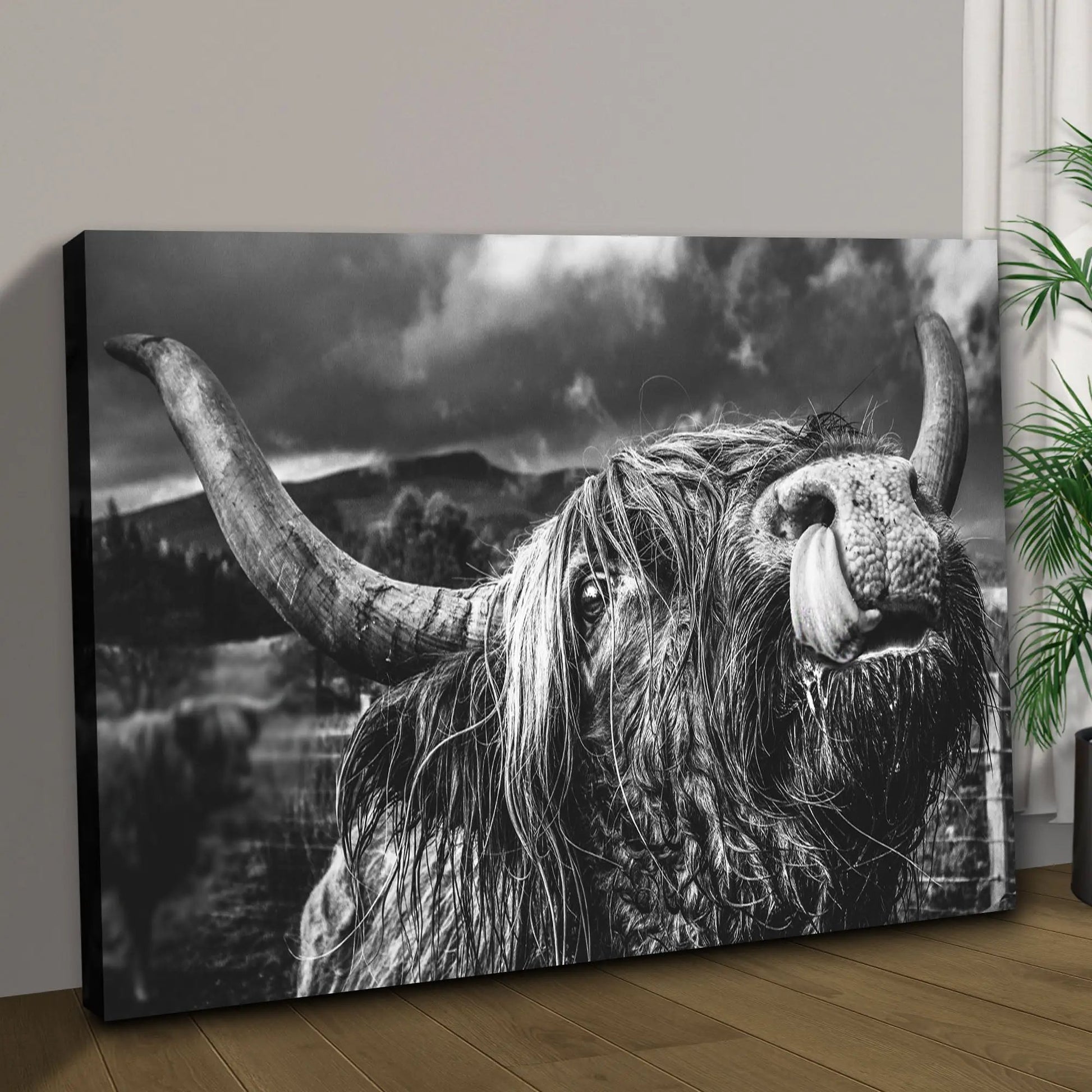 West Highland Cow monochrome canvas wall art by Tailored Canvases; crafting canvas print on Tampa Home & Garden Store