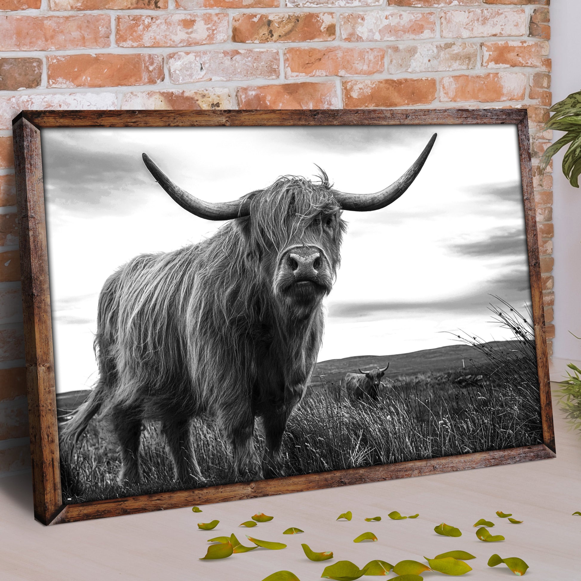 Highland cow pair black and white portrait canvas wall art in wooden frame by Tailored Canvases on Tampa Home & Garden Store