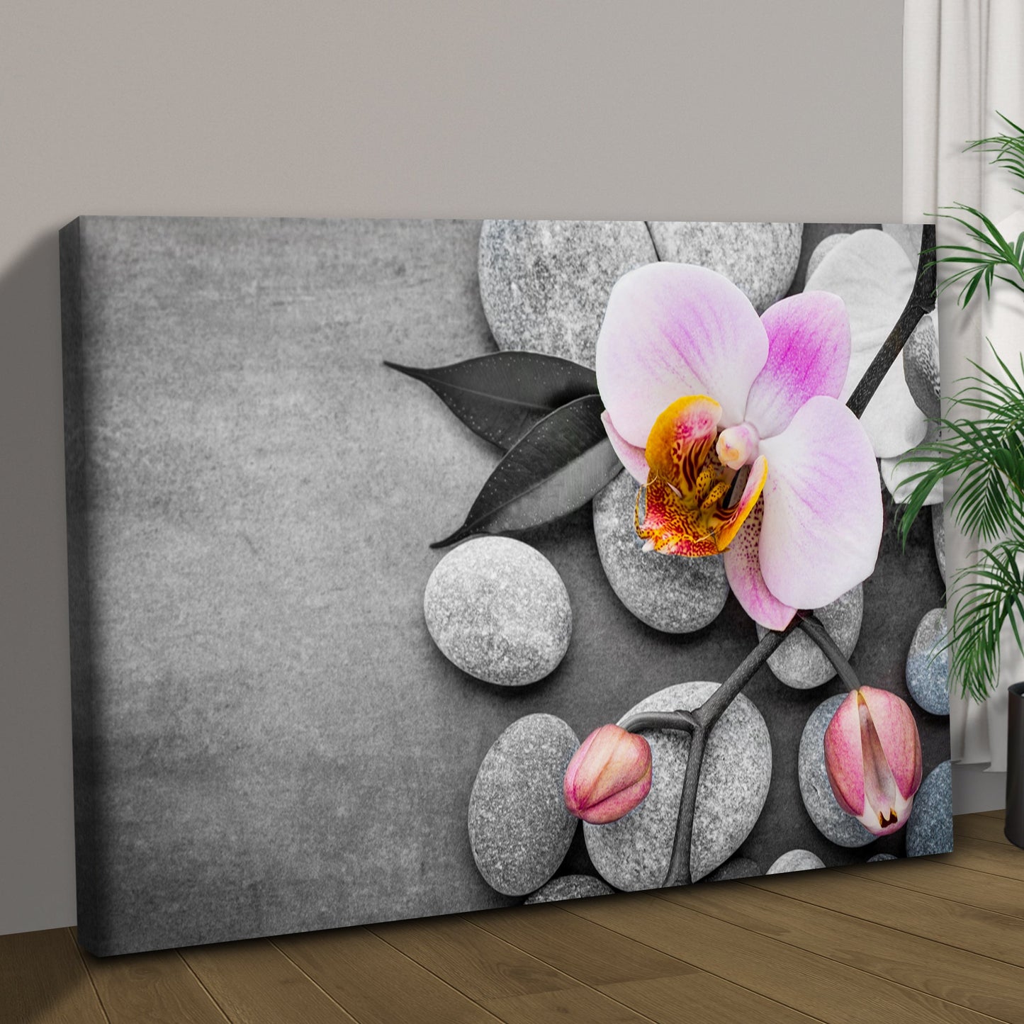 Fresh White Orchid Flower canvas wall art by Tailored Canvases, grayscale pebble background on Tampa Home & Garden Store