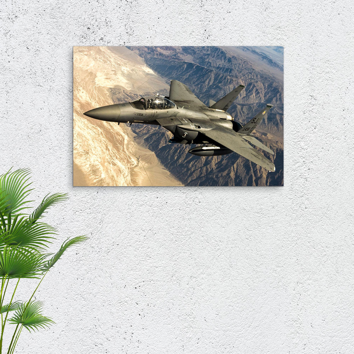 Fighter Plane Canvas Wall Art by Tailored Canvases gray jet over desert canyon landscape on Tampa Home & Garden Store
