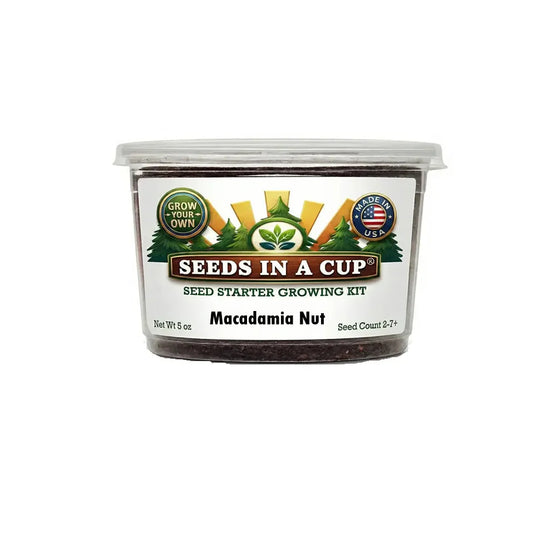 Kit de culture pour arbre à noix de macadamia