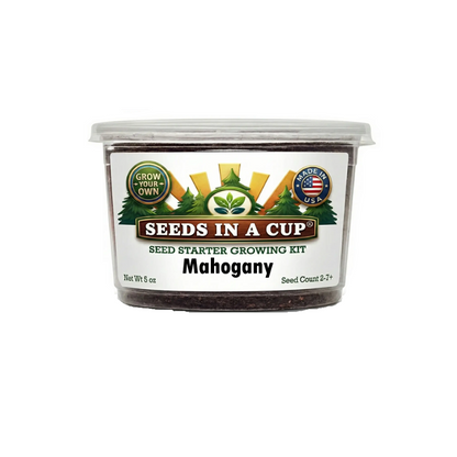 Kit de cultivo de árboles de caoba