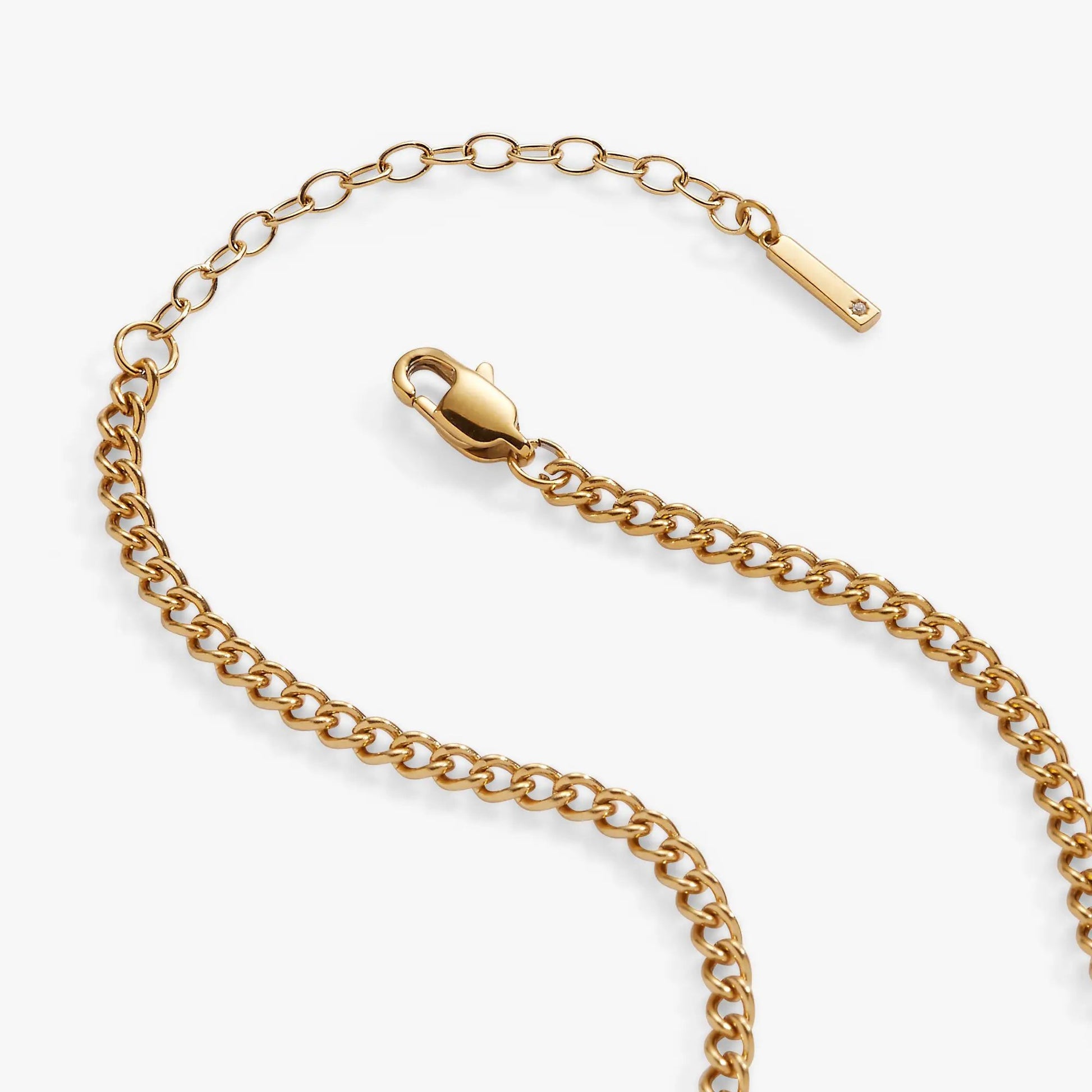 Mama Curb Chain Necklace gold tone with crystal-accent tag by ALEX AND ANI on Tampa Home & Garden Store