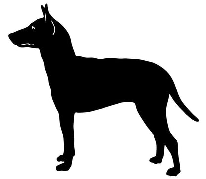Manchester Terrier garden stake silhouette in black metal on Tampa Home & Garden Store