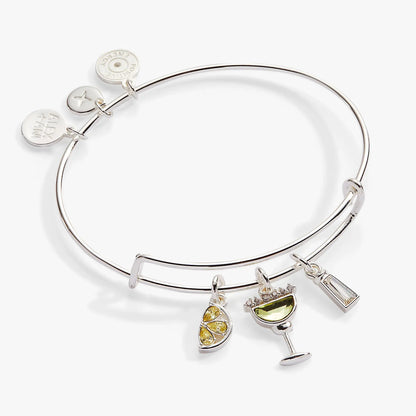 Margarita Charm Bangle ALEX AND ANI silver bracelet with gem charm on Tampa Home & Garden Store