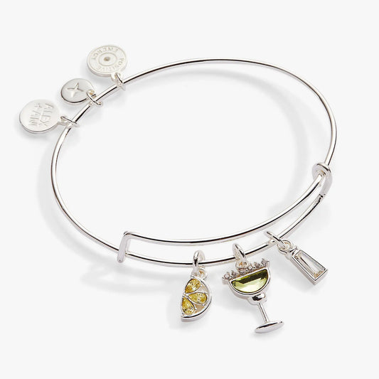 Margarita Charm Bangle ALEX AND ANI silver bracelet with gem charm on Tampa Home & Garden Store