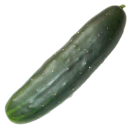 Marketmore 76 cucumber seeds, green elongated cucumber with white specks Seedtime Store on Tampa Home & Garden Store