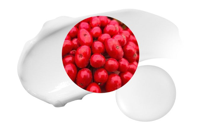 MAXCLINIC Red Propolis Cream 50g Seoulia face moisturizer white cream with red berry inset on Tampa Home & Garden Store