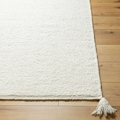 Niabi Area Rug cream shag with tassel fringe by Boutique Rugs on Tampa Home & Garden Store