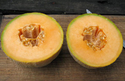 Two Kansas Muskmelon halves with orange flesh and seed cavity on a wooden cutting board on Tampa Home & Garden Store