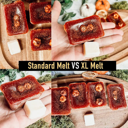 Gia Roma Autumn Pumpkin Pecan Waffles scented wax melts, red brick tarts with pecans on Tampa Home & Garden Store