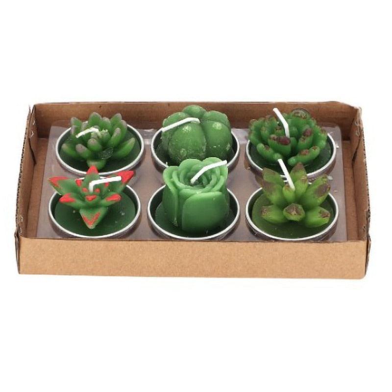 Succulent candle tea lights set, six green handmade Stevvex candles for decor and aromatherapy on Tampa Home & Garden Store