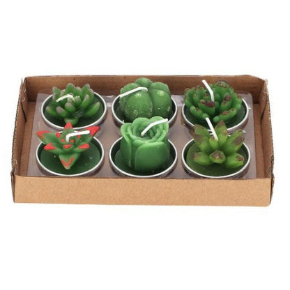 Succulent candle tea lights set, six green handmade Stevvex candles for decor and aromatherapy on Tampa Home & Garden Store