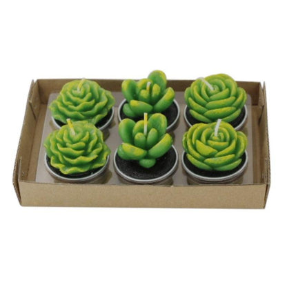 Stevvex mini succulent candle set, 6 green flameless tea lights in metal pots on Tampa Home & Garden Store