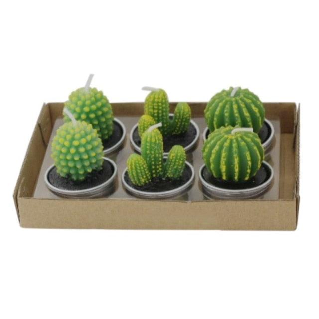 Mini succulent cactus tea lights by Stevvex, set of 6 in metal tins with green wax on a tray on Tampa Home & Garden Store