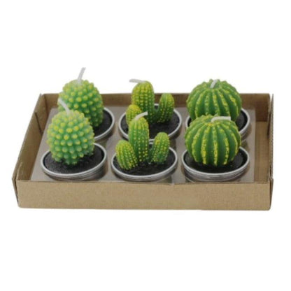 Mini succulent cactus tea lights by Stevvex, set of 6 in metal tins with green wax on a tray on Tampa Home & Garden Store