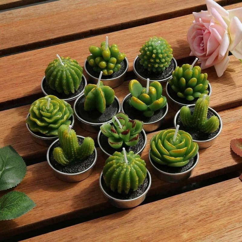 Stevvex mini succulent candle set with 12 green tea lights in metal pots on wooden surface on Tampa Home & Garden Store