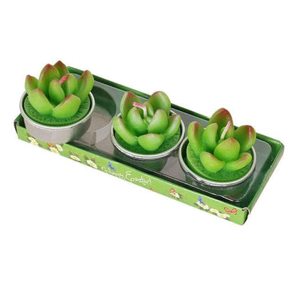 Stevvex succulent candle trio in metal pots, green cactus tea lights aromatherapy candles on Tampa Home & Garden Store