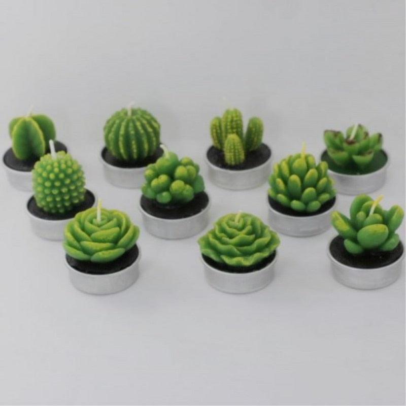 Mini succulent tea light candles in silver holders, 11 decor candles on Tampa Home & Garden Store