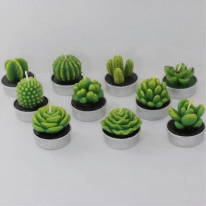 Mini succulent tea light candles in silver holders, 11 decor candles on Tampa Home & Garden Store