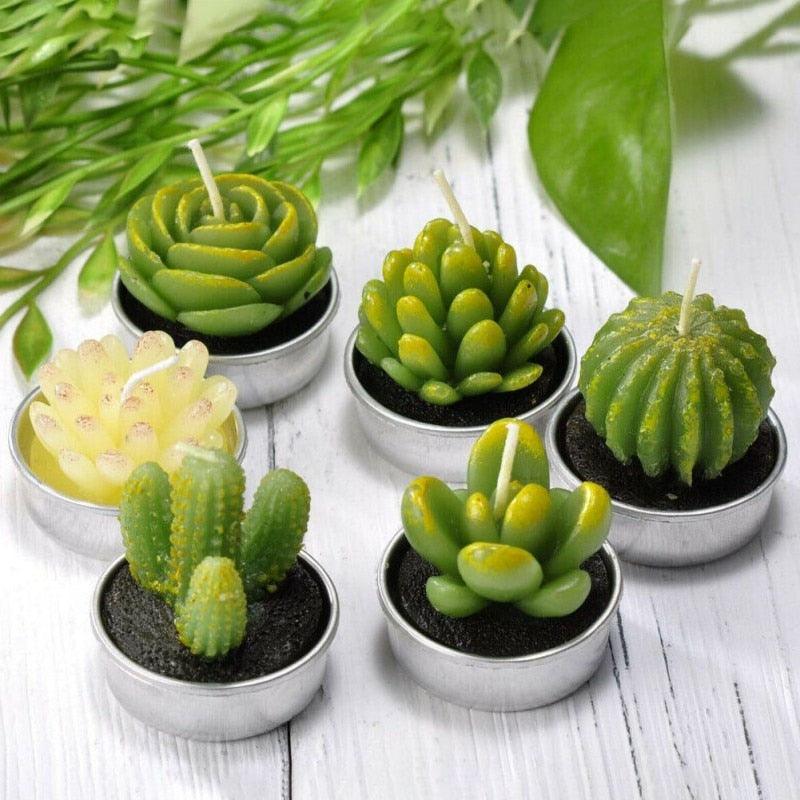 Stevvex mini succulent candle set: six green cactus tea lights in metal cups on Tampa Home & Garden Store
