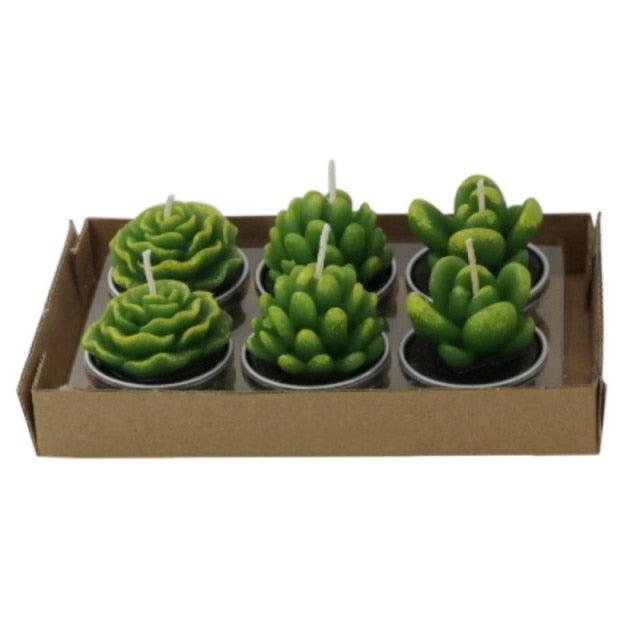 Six green succulent-shaped tea light candles in individual metal cups on a cardboard tray on Tampa Home & Garden Store