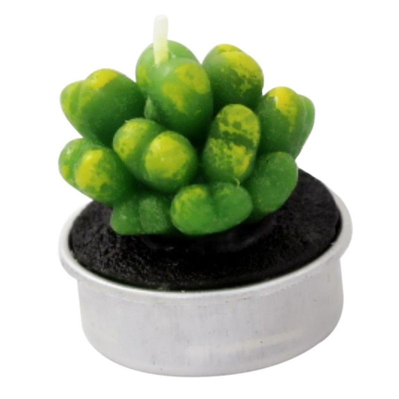 Mini succulent candle in white pot with green yellow cactus design by Stevvex Candles on Tampa Home & Garden Store