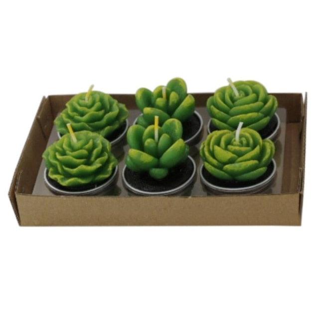Six green succulent tea light candles in metal cups by Stevvex for home decor and events on Tampa Home & Garden Store