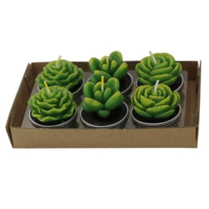 Six green succulent tea light candles in metal cups by Stevvex for home decor and events on Tampa Home & Garden Store