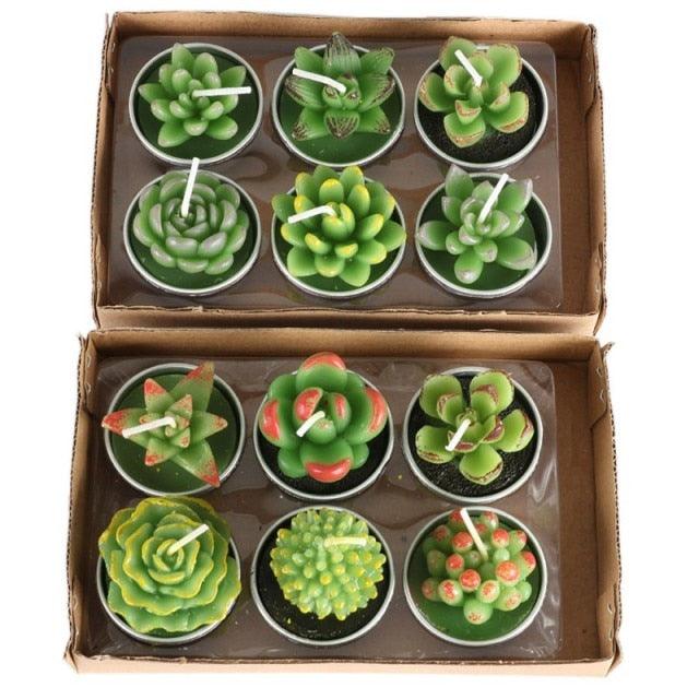 Mini succulent candle set, 12 green flameless tea lights in metal cups for wedding decor on Tampa Home & Garden Store