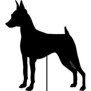 Miniature Pinscher stake or wall hanging in black metal by Rustica Ornamentals sculpture on Tampa Home & Garden Store