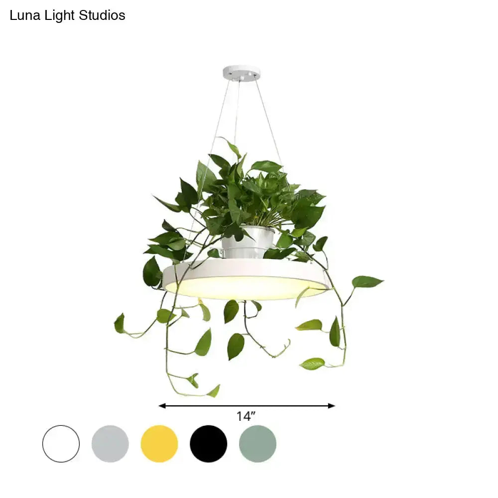 Mint green Brooklyn round macaron pendant light with kitchen planter by Decorbites on Tampa Home & Garden Store