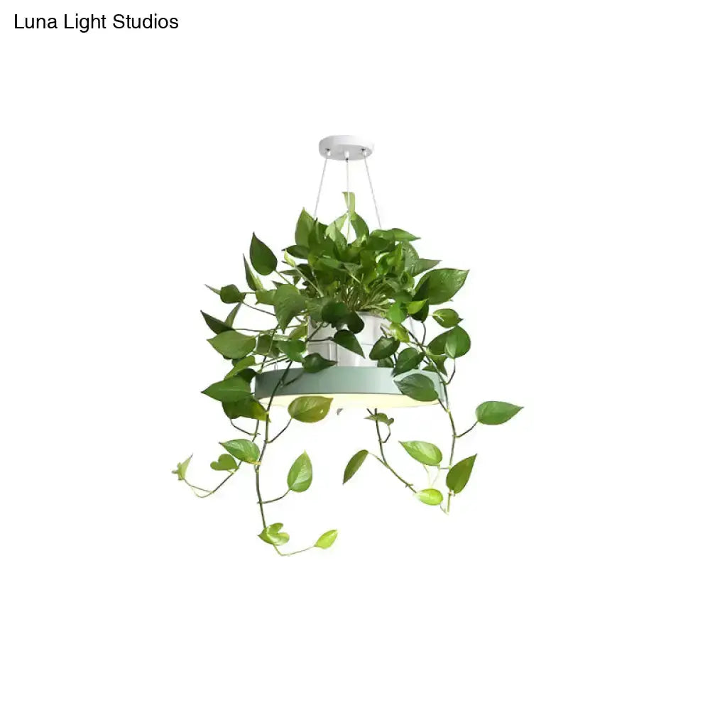 Mint green Brooklyn round macaron pendant light with planter, hanging vines Decorbites on Tampa Home & Garden Store